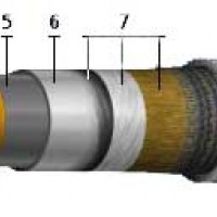 КАСКлШв АСКлШв