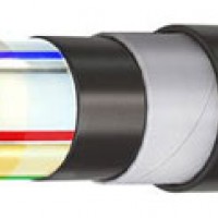 КАВБбШвнг-LS (1 кВ) АВБбШвнг-LS (1 кВ)