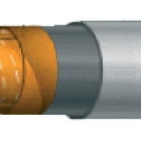 КЦАСПГ ЦАСПГ