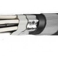 ККВБВнг КВБВнг