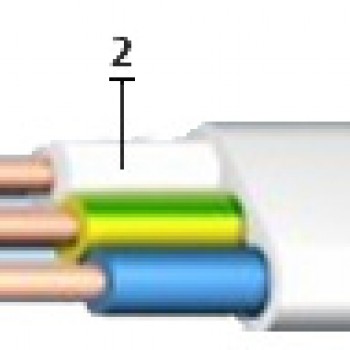 Кабель ВВГНГ-LS-П 2х4