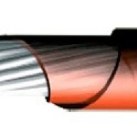 КБФСЭЗ БФСЭЗ