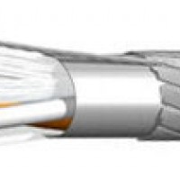 ККИПЭнг-БГ КИПЭнг-БГ